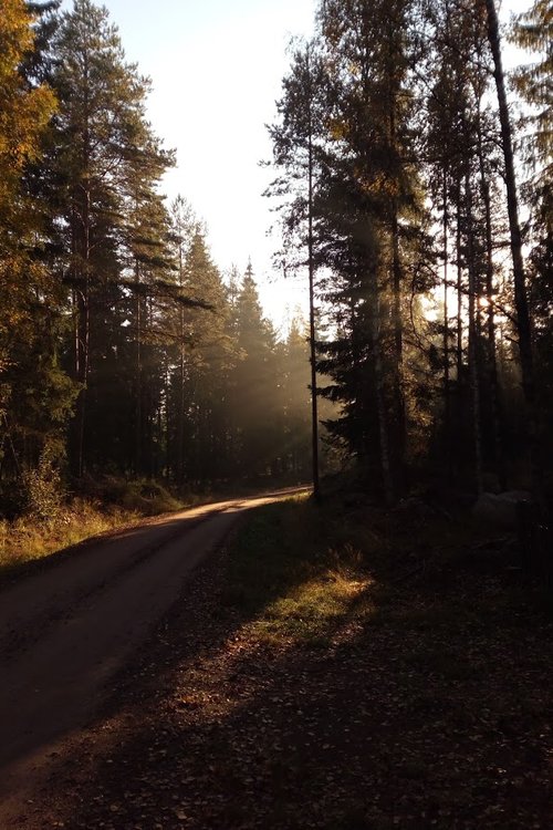 Päiväpiiri