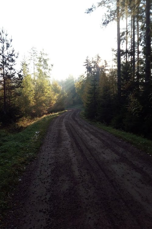 Päiväpiiri