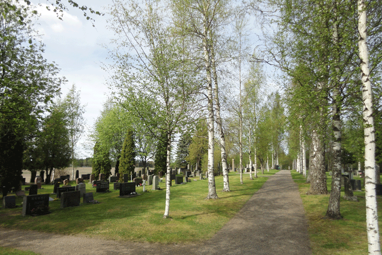 kuva hautausmaan polkujen risteyksestä, kuvassa koivukuja ja hautakiviä vasemmalla ja oikealla