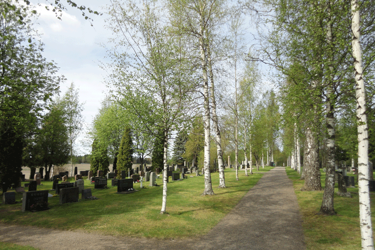 Lauhianmäen hautausmaa kuva hautausmaan polkujen risteyksestä, kuvassa koivukuja ja hautakiviä vasemmalla ja oikealla